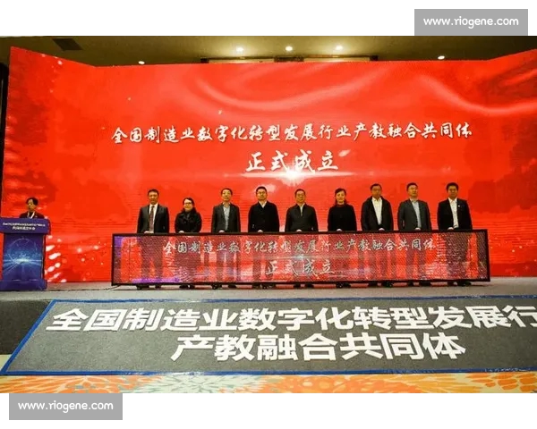 数据驱动体育新生态构建竞技表现与产业价值融合新格局