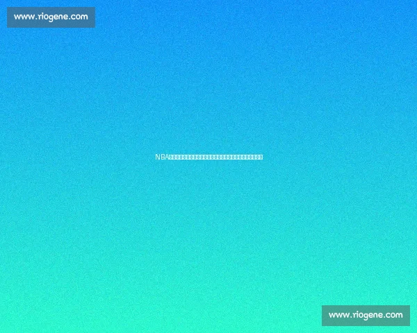 NBA数据平台全面升级：实时数据分析助力球迷深度解析赛事动态