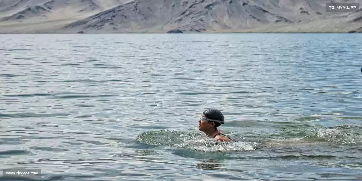 为什么选择我们